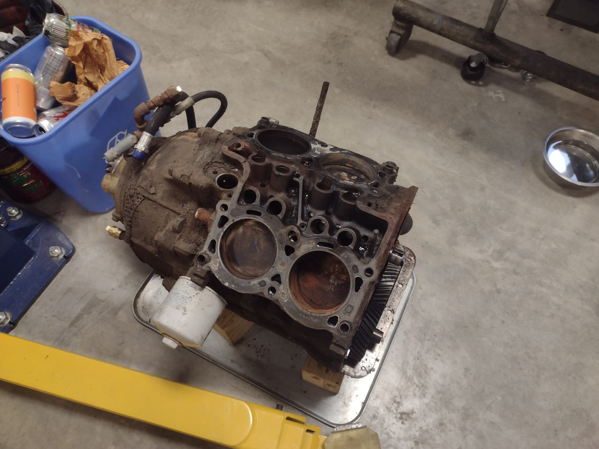 IMG_20231203_151611899[1].jpg