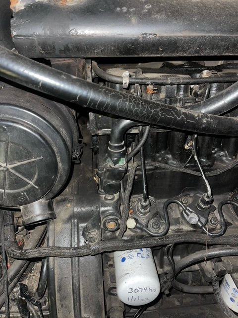 image3(2).jpeg