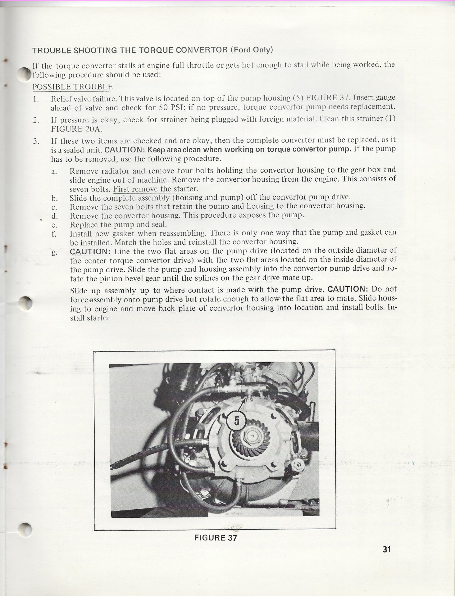 Page 31 Green.jpg