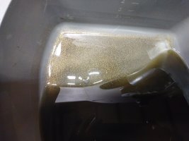 IMG_20230324_104125.jpg