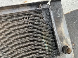 IMG_3364.jpeg IMG_3364.jpeg