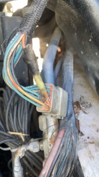 IMG_6032.jpeg