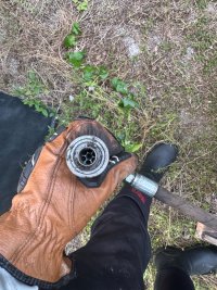 IMG_3165.jpeg