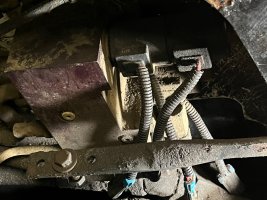 IMG_8428.jpeg