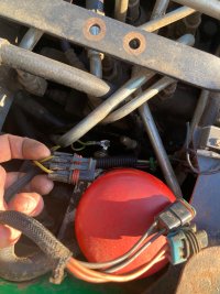 IMG_2157.jpeg