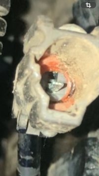 orange wire.jpg