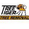 TreeTiger