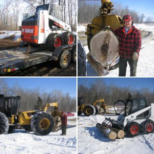 Ash veneer logging