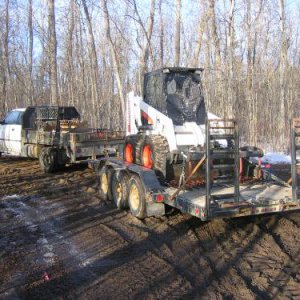 Ash veneer logging IMG_0721.JPG