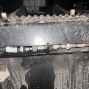 IMG_3176.jpeg